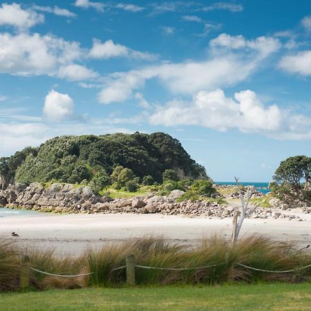 Sunny And Spacious - Moments From The Beach And Downtown Mount Maunganui Bagian luar foto