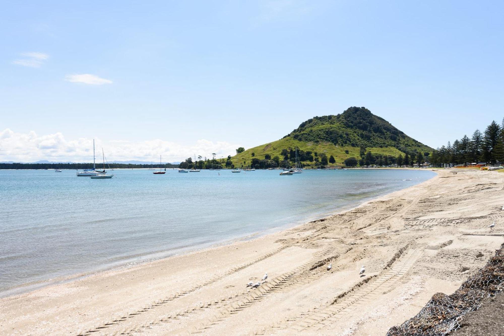 Sunny And Spacious - Moments From The Beach And Downtown Mount Maunganui Bagian luar foto