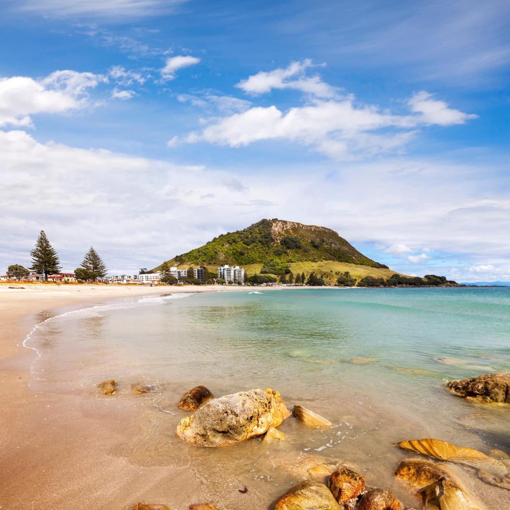 Sunny And Spacious - Moments From The Beach And Downtown Mount Maunganui Bagian luar foto